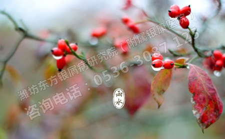 雨水節氣銀屑病患者養生要點