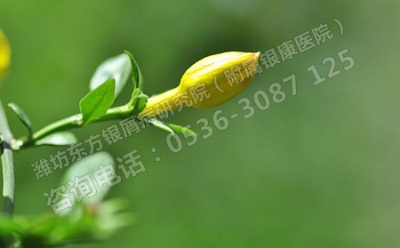 春天銀屑病要怎么防范