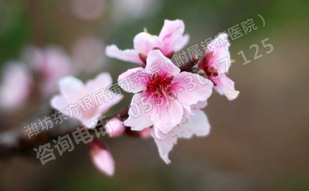 三月春人們要怎么防范銀屑病復發