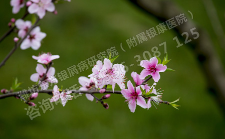 造成銀屑病數十年避免復發的護理方法