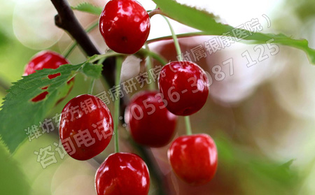 銀屑病患者夏天科學(xué)飲食的調(diào)整