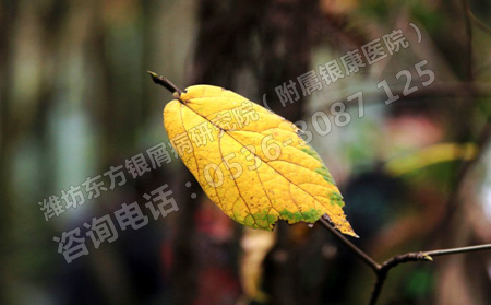 五月隨著天氣變熱牛皮癬患者要重視幾個方面