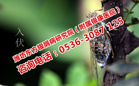 入伏牛皮癬怎么護理