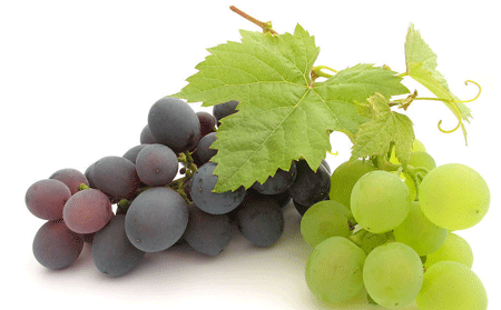 銀屑病患者排毒的食物