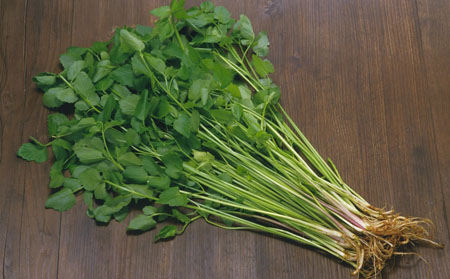 春節過后銀屑病飲食調節