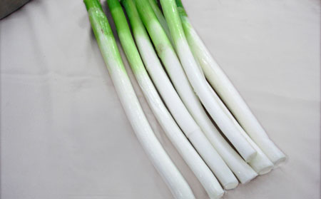 得了銀屑病一定要忌口嗎