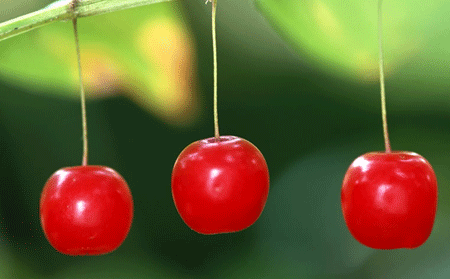 吃什么對銀屑病患者的皮膚可以