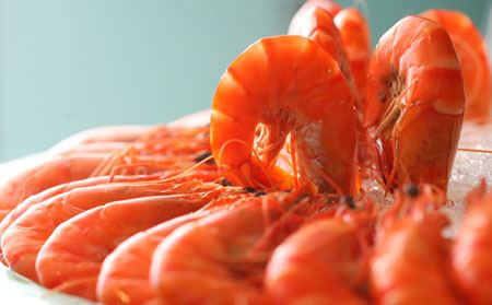 銀屑病患者為何不能吃海鮮