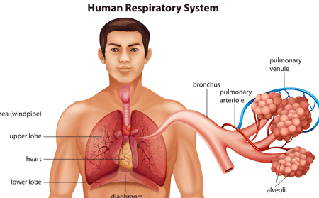 銀屑病傷害患者的內(nèi)臟嗎