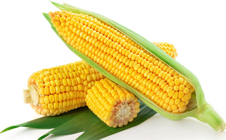 銀屑病患者小暑養生