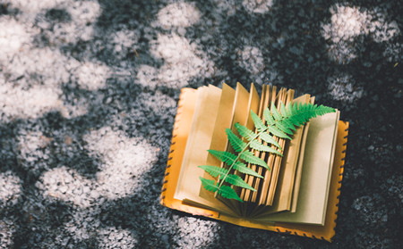 濰坊的銀屑病醫(yī)生