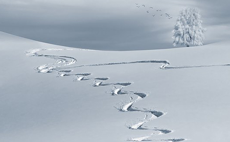 在濰坊應(yīng)該怎么預(yù)防銀屑病