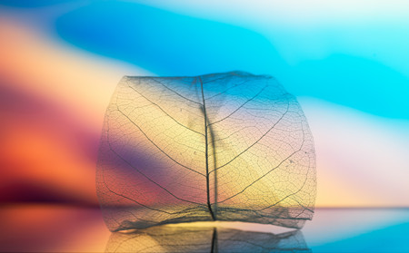 濰坊銀屑病研究所