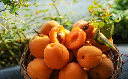 濰坊治牛皮癬醫(yī)生