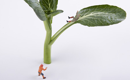 濰坊牛皮癬研究院