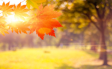 牛皮癬保養,濰坊東方牛皮癬研究院