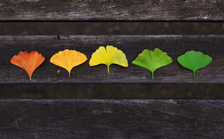 銀屑病季節(jié)性加重