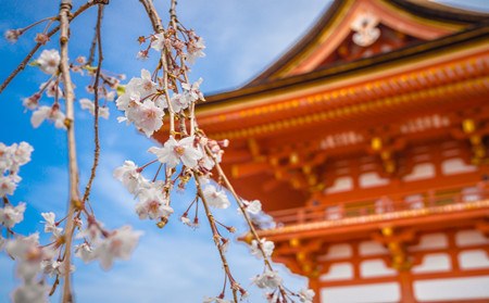 牛皮癬季節性護理,季節變化牛皮癬護理