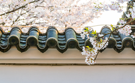 春天預(yù)防銀屑病,春季怎樣預(yù)防銀屑病