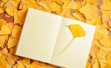 季節(jié)銀屑病,銀屑病發(fā)病季節(jié)