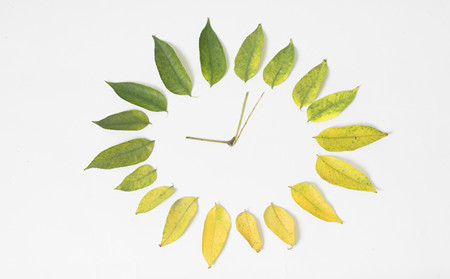 銀屑病病因,銀屑病季節(jié)發(fā)病原因