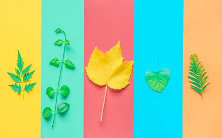 秋季銀屑病注意,銀屑病秋季注意事項