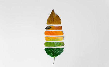 秋季銀屑病護理,秋季如何護理銀屑病