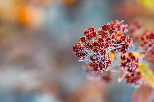 冬季銀屑病護(hù)理禁忌