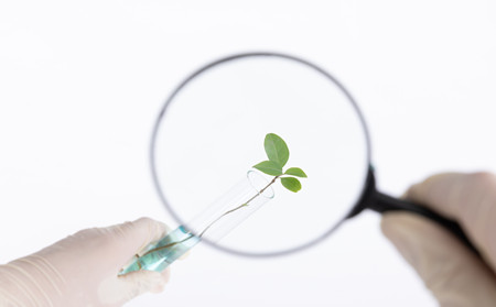 濰坊哪家醫(yī)院治牛皮癬,濰坊治牛皮癬好的醫(yī)院