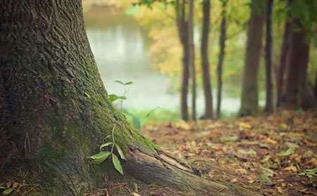 怎么預防銀屑病的復發