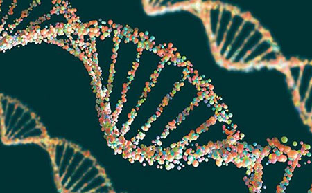 斑塊狀牛皮癬病因-遺傳