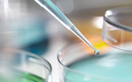 牛皮膚癬接種新冠病毒疫苗