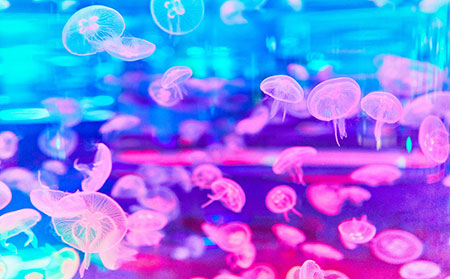 生物制劑治療牛皮癬銀屑病的不良反應