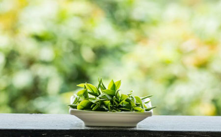 銀屑病夏季養生_濰坊東方銀屑病研究院