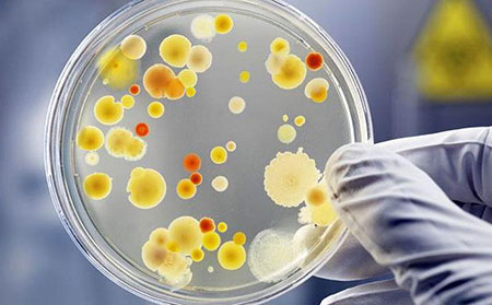 牛皮癬新冠疫苗如何選擇