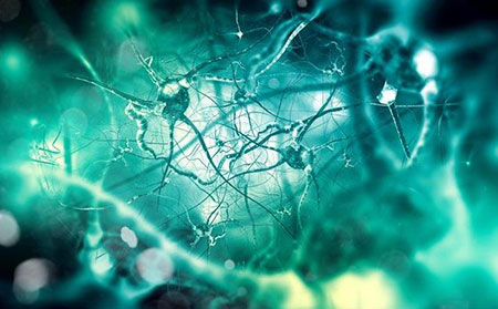 牛皮膚癬圖片癥狀和牛皮膚癬類型特征