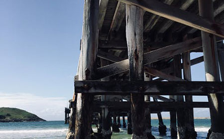 預防和管理牛皮膚癬皮膚開裂和出血的方法