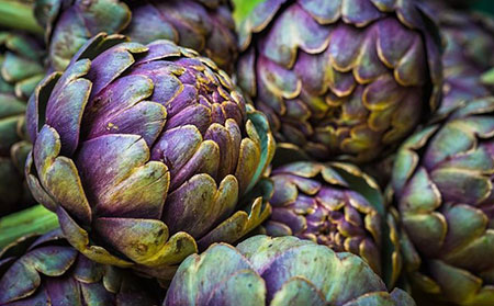 銀皮膚癬飲食食物_朝鮮薊