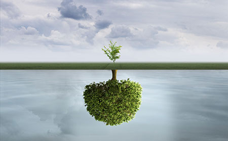 銀皮膚癬健康風(fēng)險