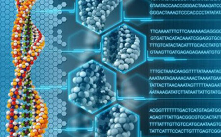 引起銀屑病關節炎的原因