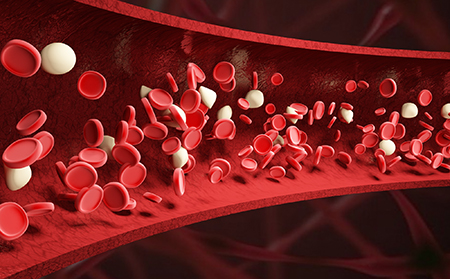 銀屑病和免疫力之間有什么關(guān)系