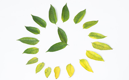 季節(jié)性銀屑病,銀屑病有季節(jié)性嗎,銀屑病醫(yī)院