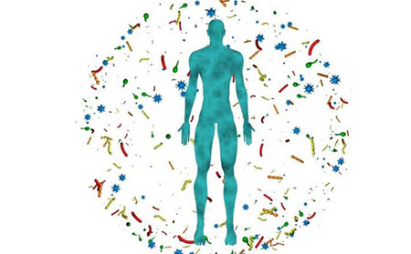 銀翹病治療方法,銀翹病用什么藥,銀翹病怎么治