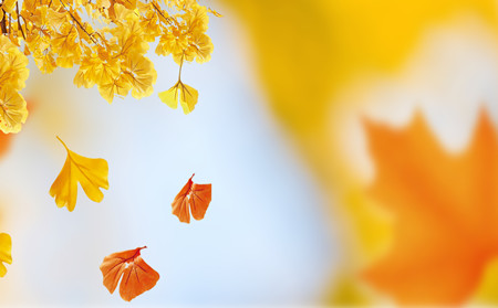 銀屑病有季節性嗎,銀屑病季節規律性,銀屑病醫院