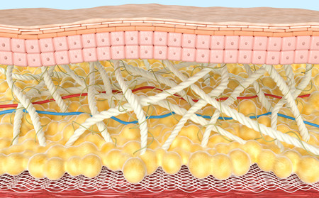 牛皮癬用藥,尋常型牛皮癬用藥,治療牛皮癬醫院,牛皮癬專科醫院